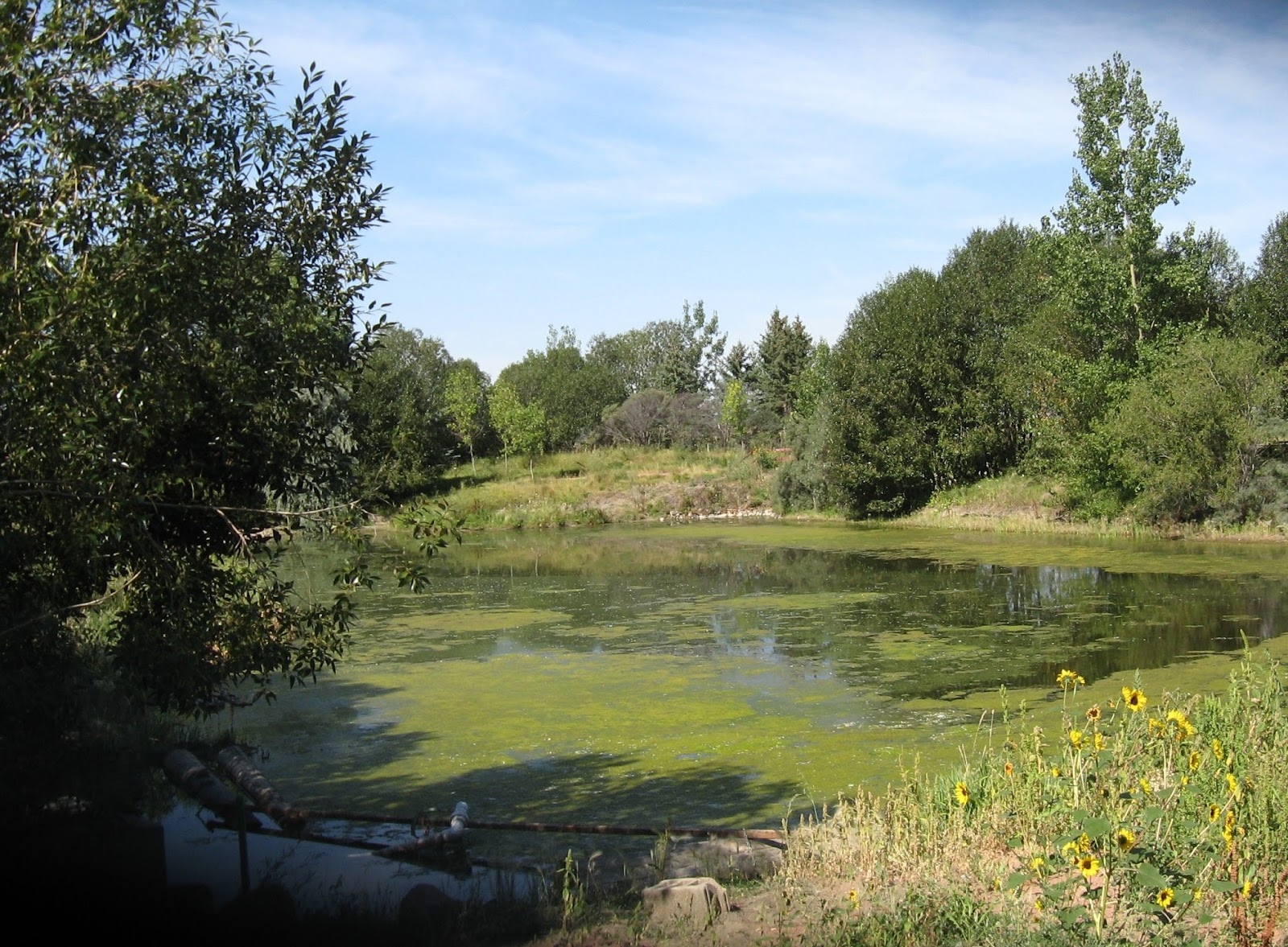 Exotic bird sanctuary near me picture