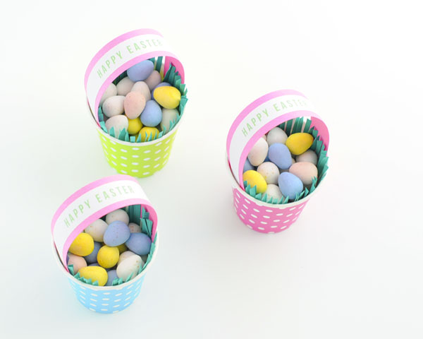 Set De 6 Assiettes En Carton 23 Cm Happy Dino