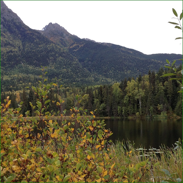 Northern Interior British Columbia Seeley Lake Provincial Park British Columbia Canada (Photos)