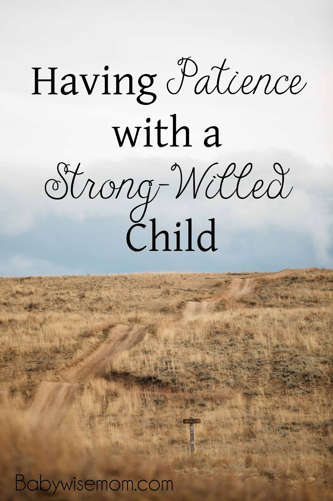 having-patience-with-a-strong-willed-child-chronicles-of-a-babywise-mom