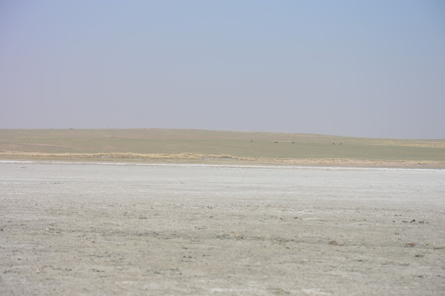 Lac salé en Mongolie intérieure