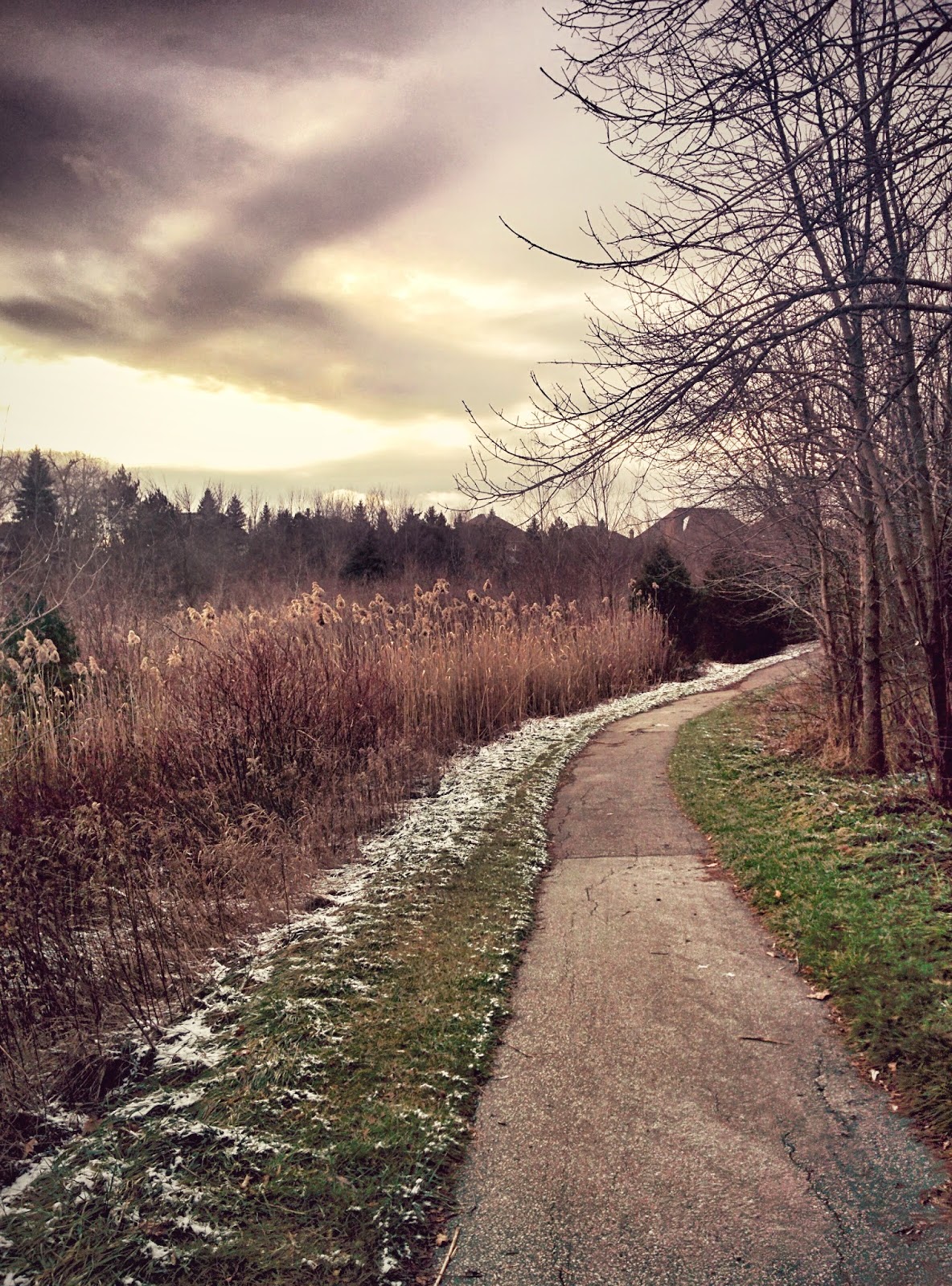 Who can tell me what beauty is nature through different lenses