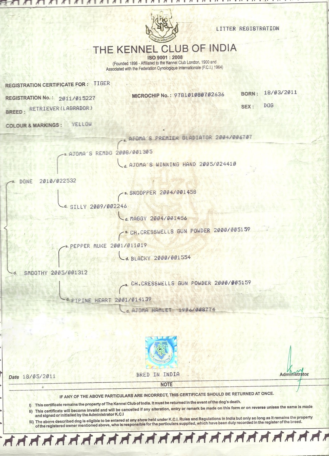 What Is Kci Certificate For Dog what-is-kci-certificate-for-dog