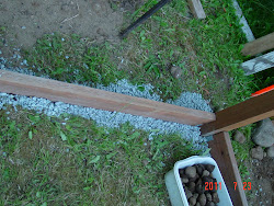 coop chicken shabby run outside building roofing framing nothing material put place chic