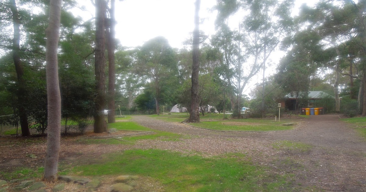 Camping with Kids Lane Cove Tourist Park