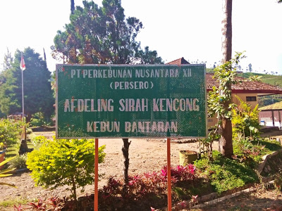 Pendakian Gunung Butak via Sirah Kencong