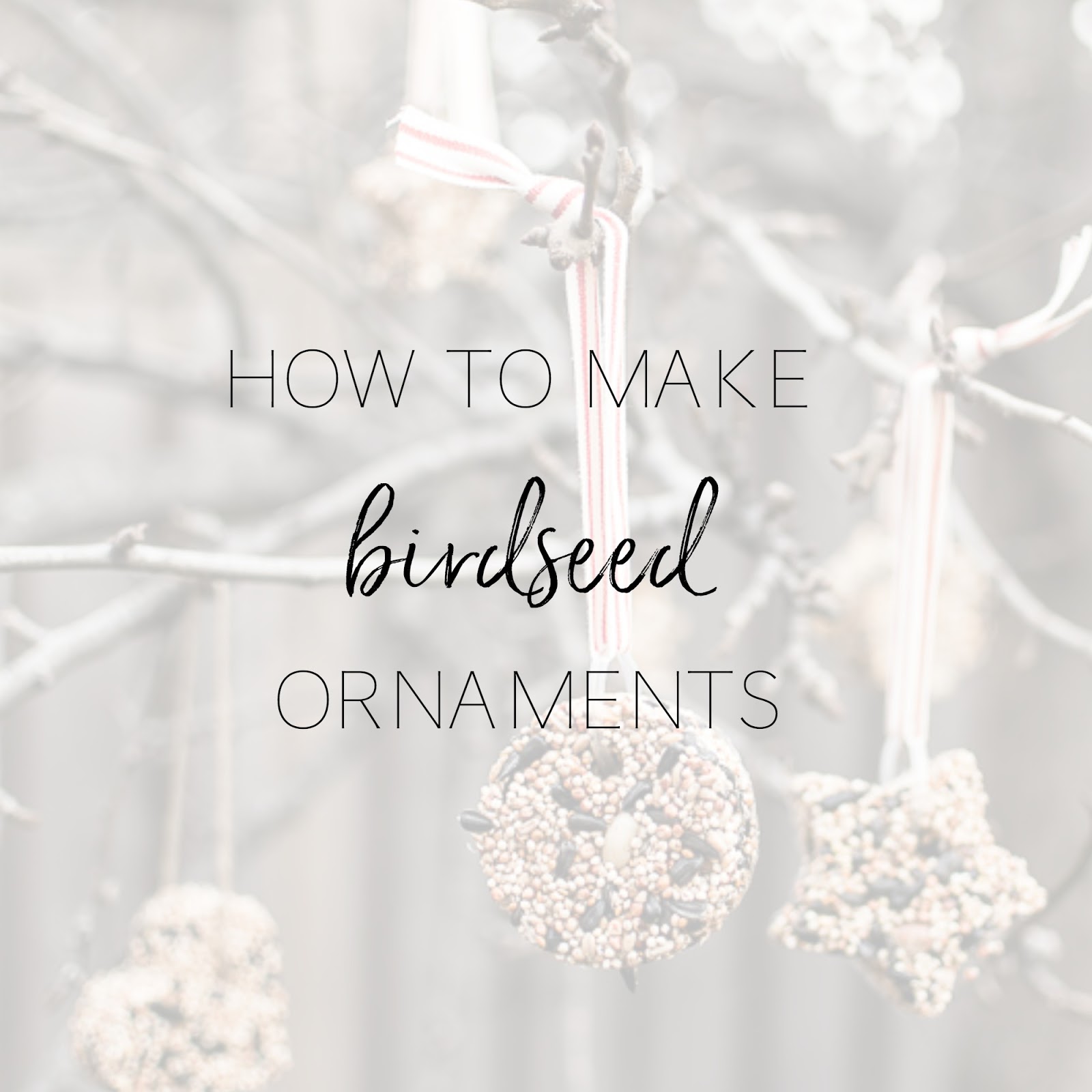 How to Make Birdseed Ornaments Personally Andrea How to Make