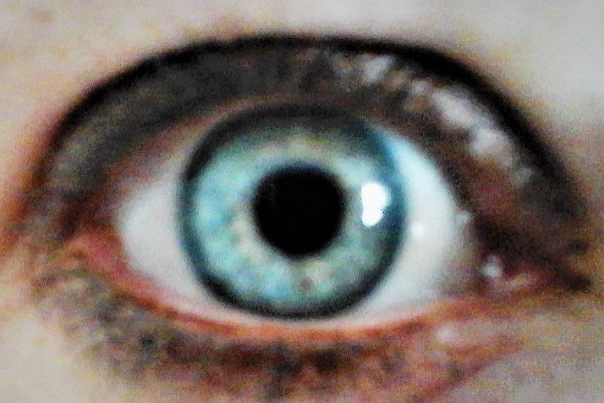 Gitane sans filtre 2018