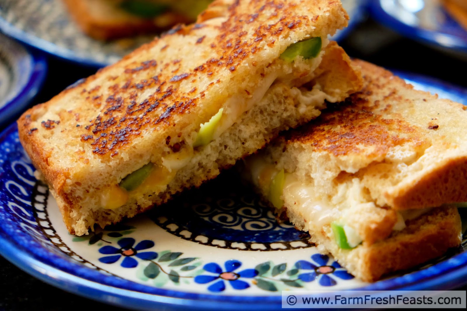 http://www.farmfreshfeasts.com/2015/04/double-pepper-double-cheese-grilled.html
