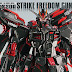 Custom Build: PG 1/60 Strike Freedom Gundam [Coca Cola Zero ver.]
