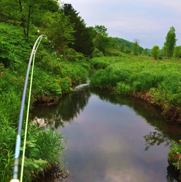 .The Catching Chronicles....by Trout MaGee Southwest Wisconsins