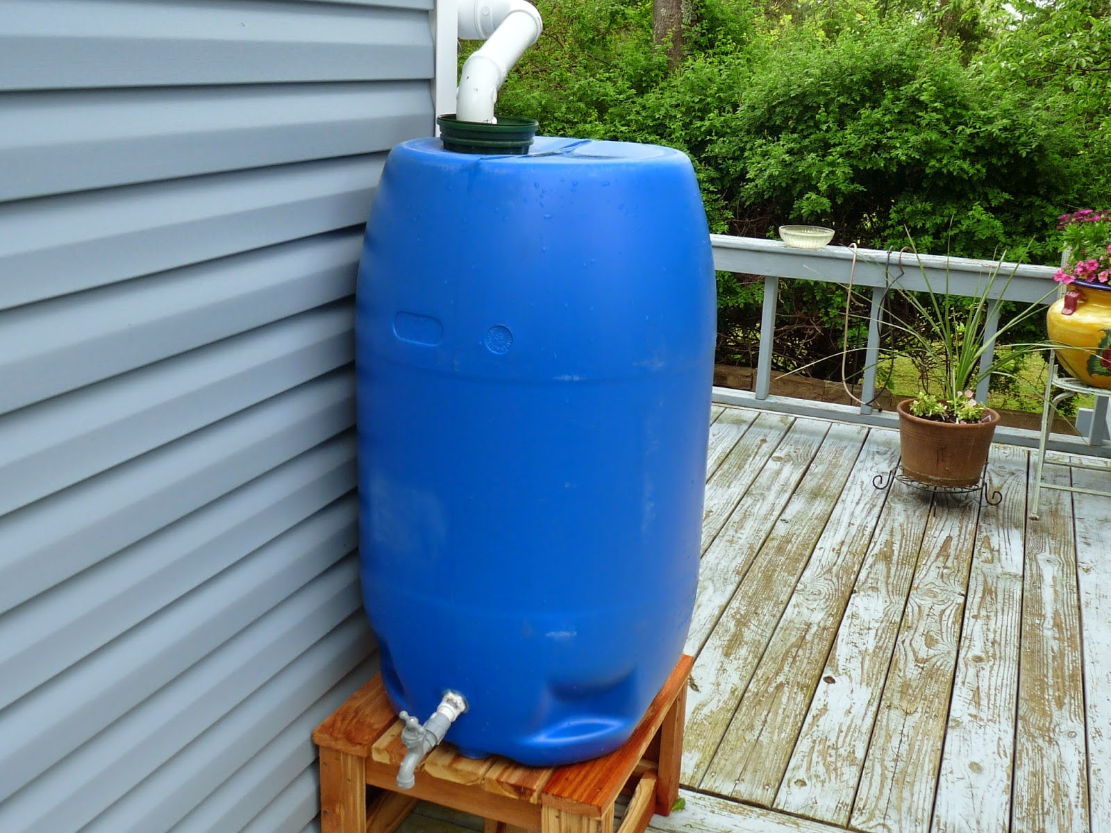 GOOD HEALTH ? YOUR CHOICE ! RAIN BARREL for FLOWER WATERING