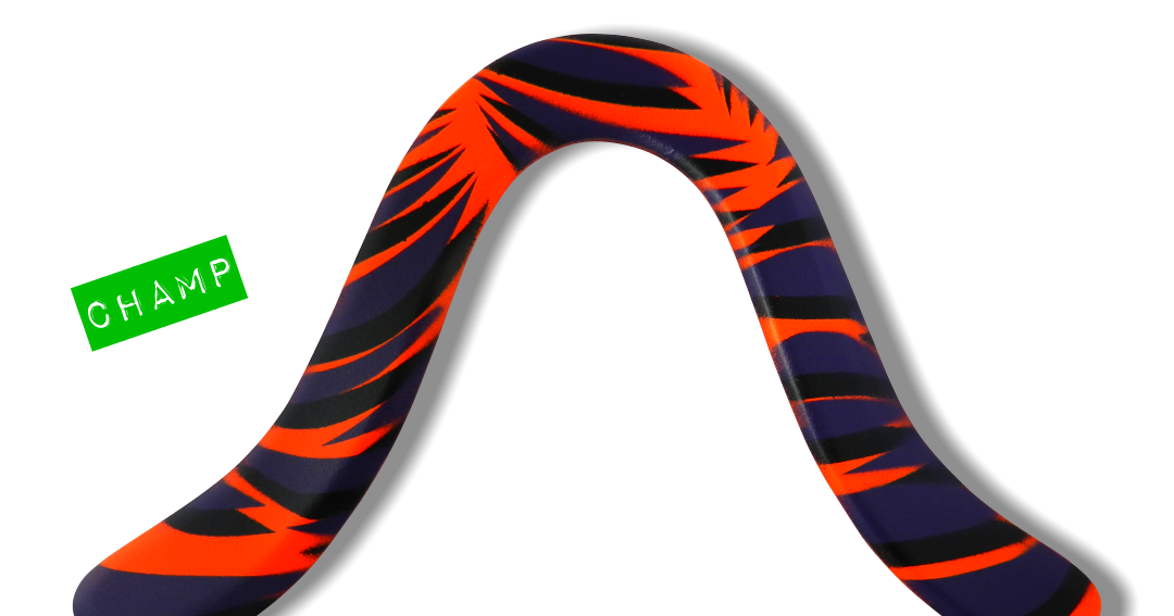 boomerang video boomerang video