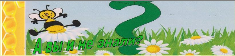 Команда улей. Название группы пчелки в детском саду. Группа веселый улей. Название группы пчелки в детском саду. Команда улей.