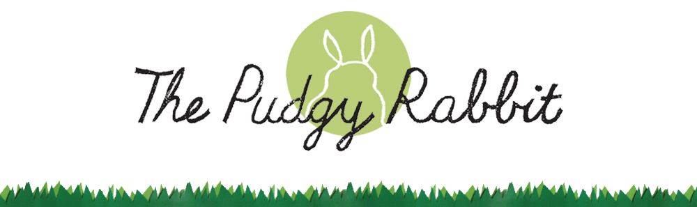 The Pudgy Rabbit