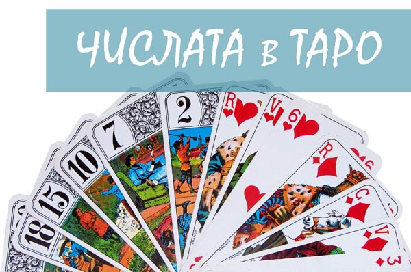 нумерология и таро