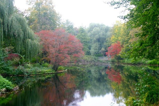 Stunning views of ponds and trees in the Tiergarten.