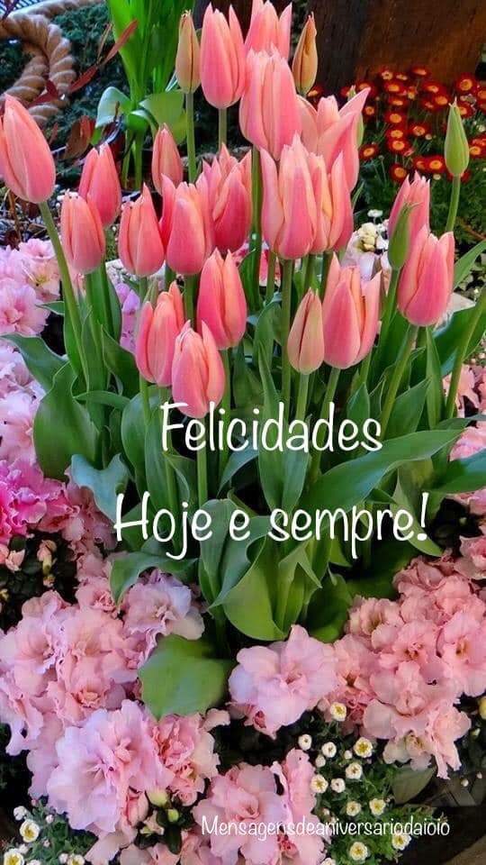 Featured image of post Parab ns Flores Lindas S o lindas as flores publicadas aqui e estas 10 flores brasileiras s o lindas e que fazem parte de nossa biodiversidade brasileira