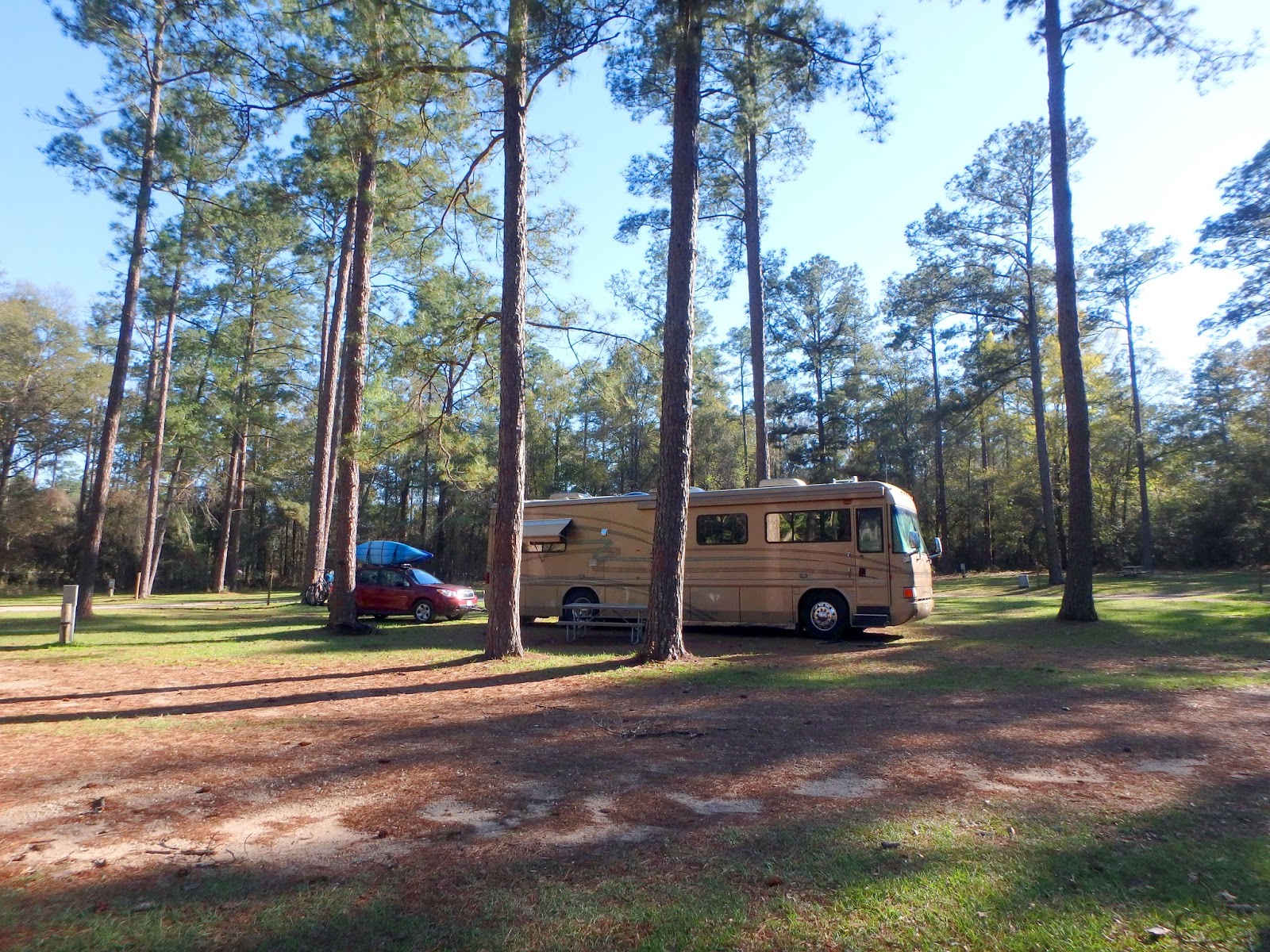 PAMPERED PENGUIN March 1113, 2018 Dead Lakes, Wewahitchka, Florida to