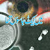 Main Aik Jasoos Tha by Tariq Ismail pdf download