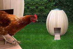 chicken coop august slicker inside nogg tracey mackenzie yup doing designer right am read outside
