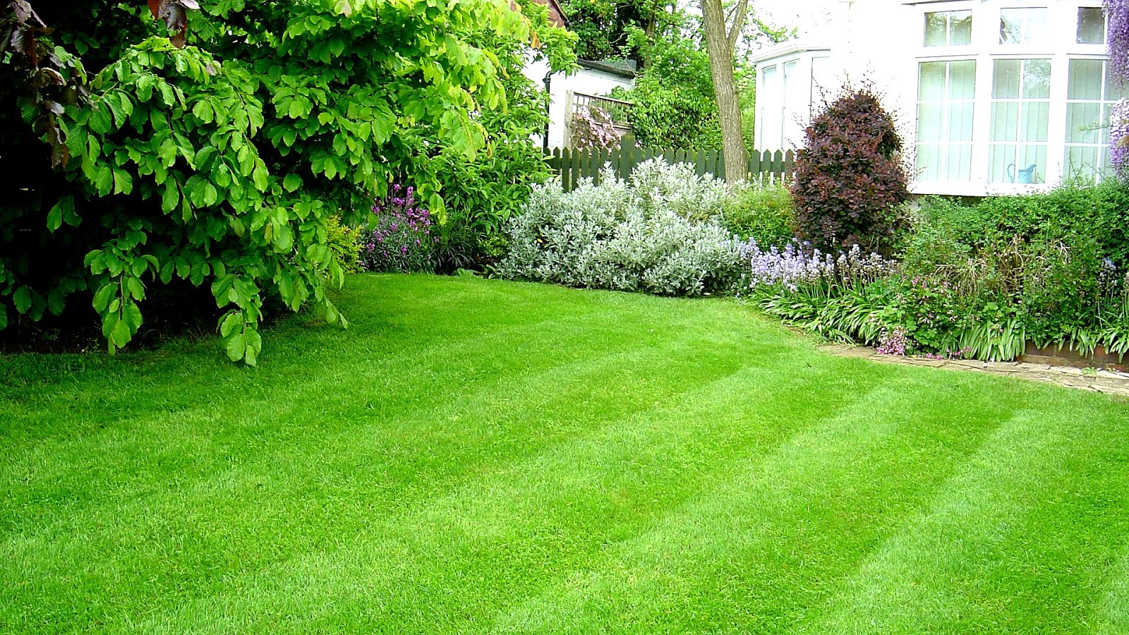 Perfect Cut Lawn Care Perfect Choices