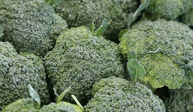 Broccoli Prevent Skin Cancers Broccoli Prevent Skin Cancers