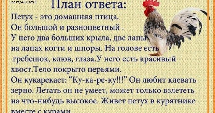 Сколько петух ответ. Петуха ответ. Петух взлетел на забор. На забор взлетел петух повстречал еще там двух. Загадка про петушка.