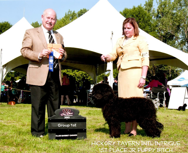 Barbet Breeder