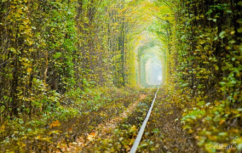 Tunnel of Love in Kleven, Ukraine, a Fairytale Train Track