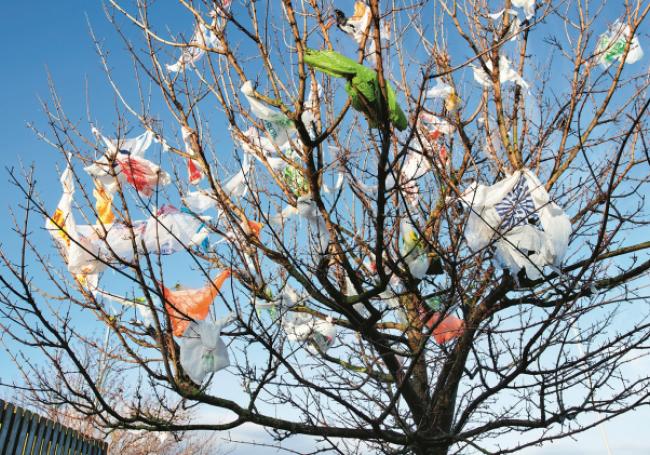 Comment s'attaquer au plastique de manière inefficace : l'exemple du ...