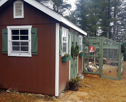 coop chicken tour come fresh horizon structures built run