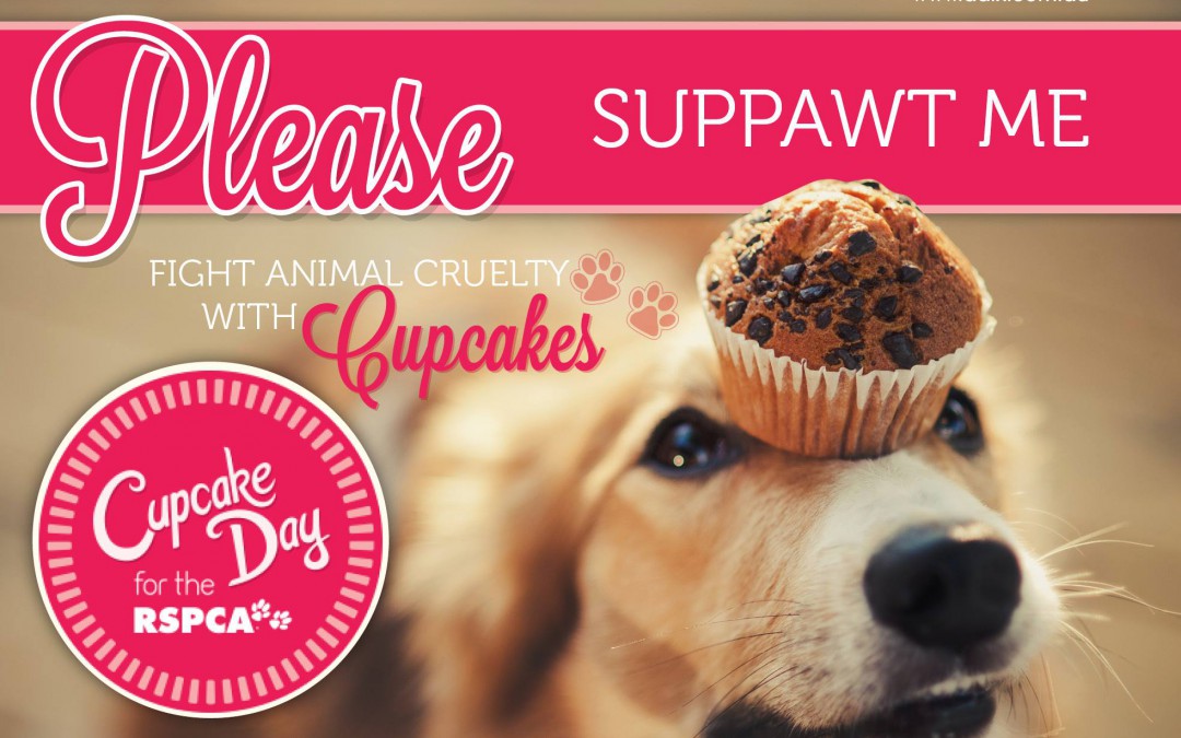 Cupcake Day for the RSPCA August 15 Australian Dog Lover Cupcake Day for the RSPCA August 15 Australian Dog Lover