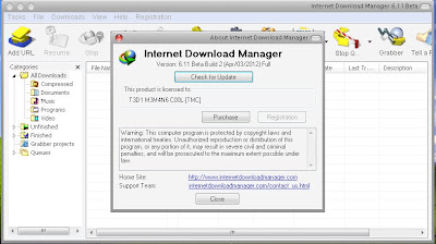 IDM Internet Download Manager 6.11 Build V2