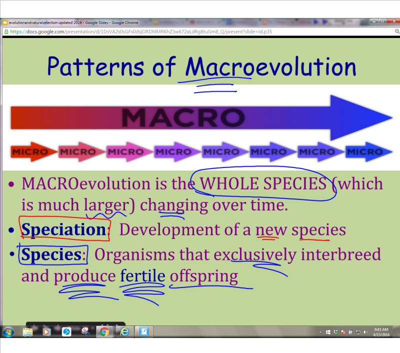 EC Honors Biology Wednesday April 13th Macroevolution intro