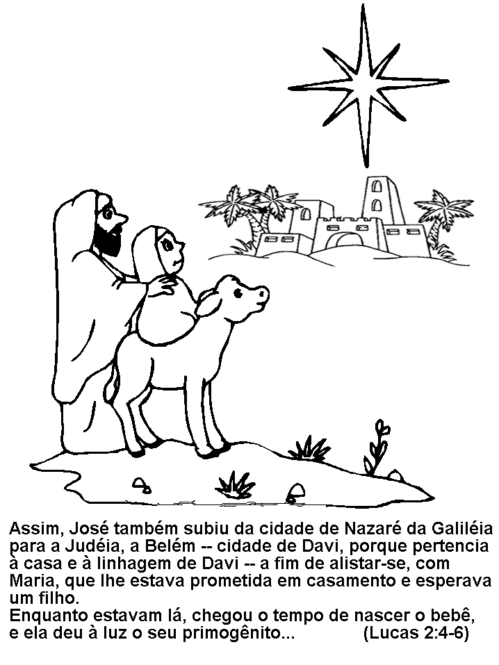 estrelas de natal para