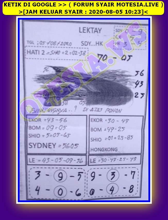 PREDIKSI SYDNEY COJEEL