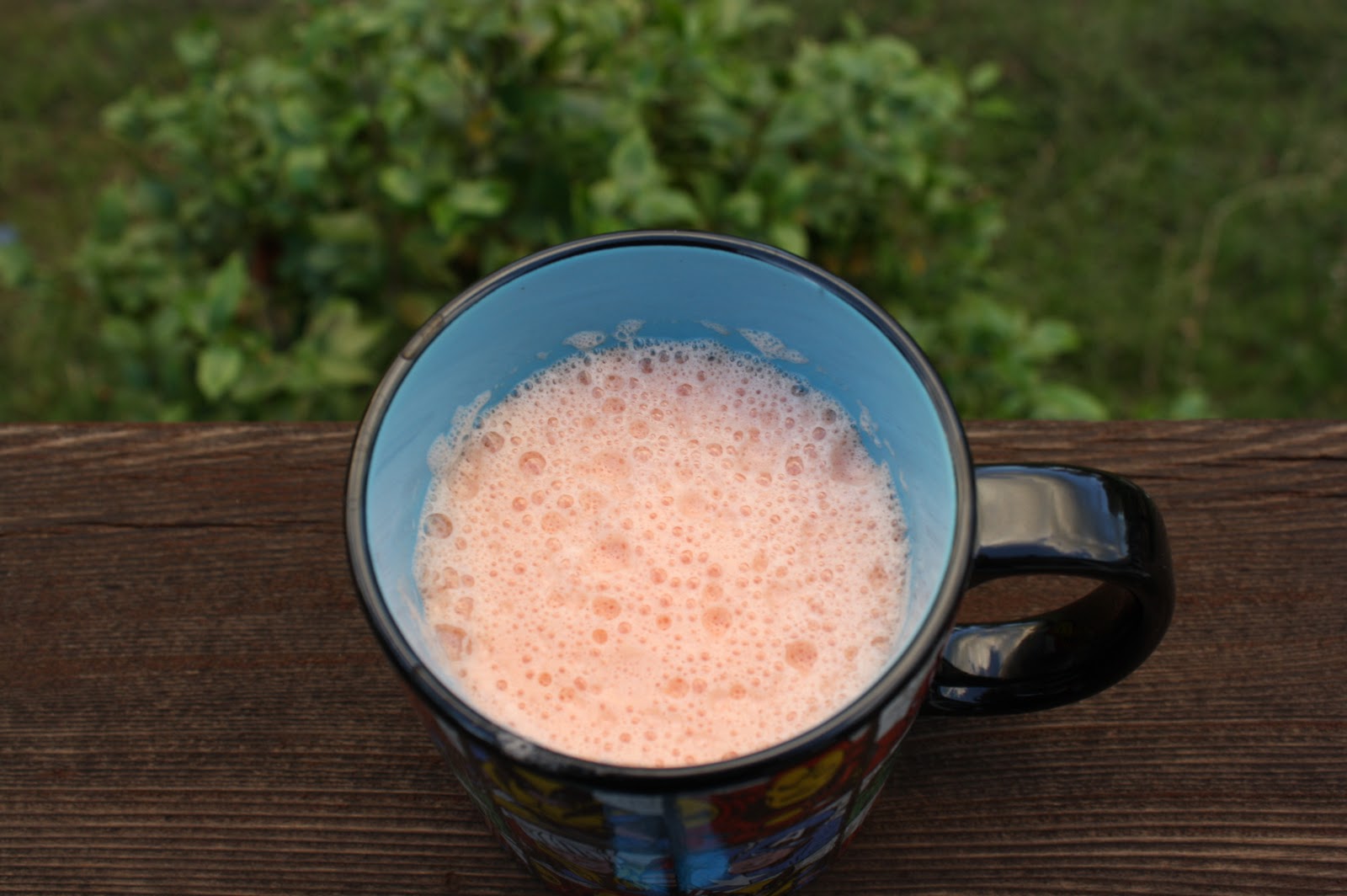 JUICED ALIVE Garlic + Tomatoes + Apple Juice