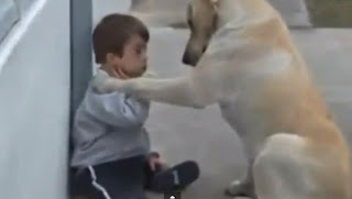 ΣΥΓΚΙΝΗΤΙΚΟ VIDEO:  Ενα παιδί με Σύνδρομο Down και ένας σκύλος...
