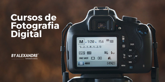 header-curso header-curso