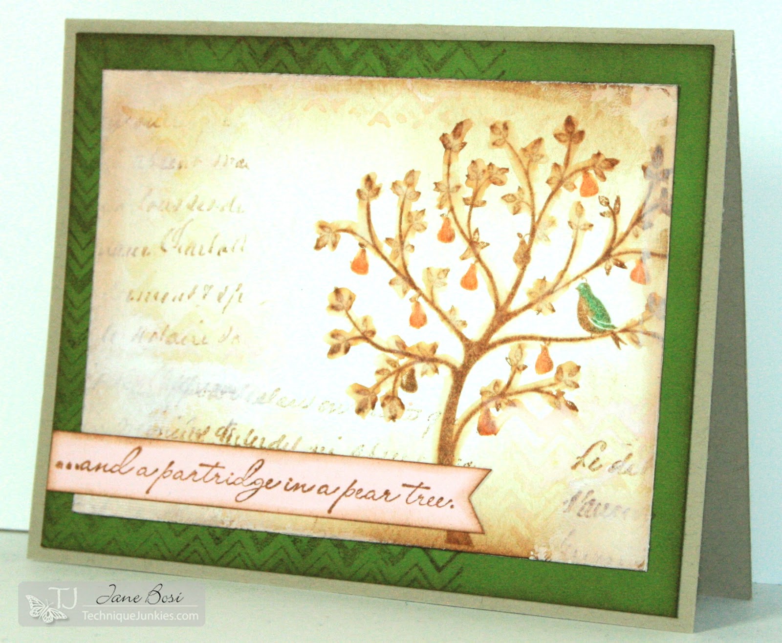 More Than You See: A Partridge In A Pear Tree.....