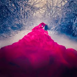 surreal martin underwater jenna conceptual amazing shots winter photographs snow surrealism designstack stack dress