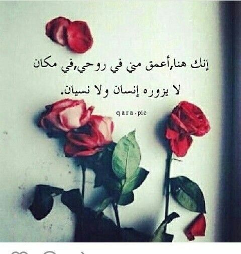 صور ورد احمر مع كلام رومنسي ٢٠١٨ انت روحى لا يمكن انساك
