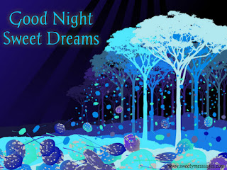 have a nice sleep good nıght sweet dreams