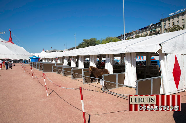 la tente ecurie des poneys 