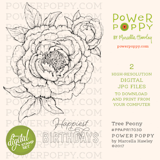 Power Poppy, Marcella Hawley, Tree Peony, Remixed Digital Image, April 2017