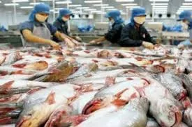 Gujarat tops Annual Fish Production of 7.8 lakh tonnes