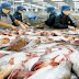 Gujarat tops Annual Fish Production of 7.8 lakh tonnes