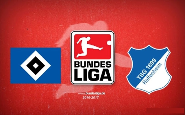 Hoffenheim vs Hamburger SV Full Match And Highlights
