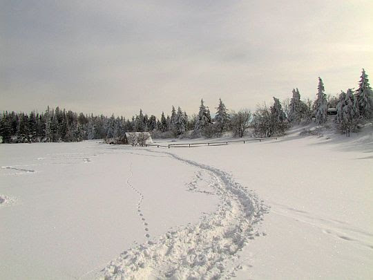 Baza namiotowa na Wierchu Lubania. Baza namiotowa na Wierchu Lubania.